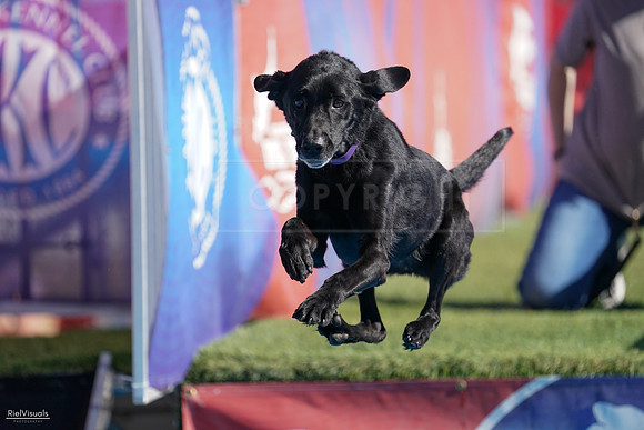 RielVisuals_NADD_Copper_Classic_20240127_125810_SJR00201