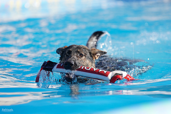 RielVisuals_NADD_Copper_Classic_20240127_100327_SJR05187