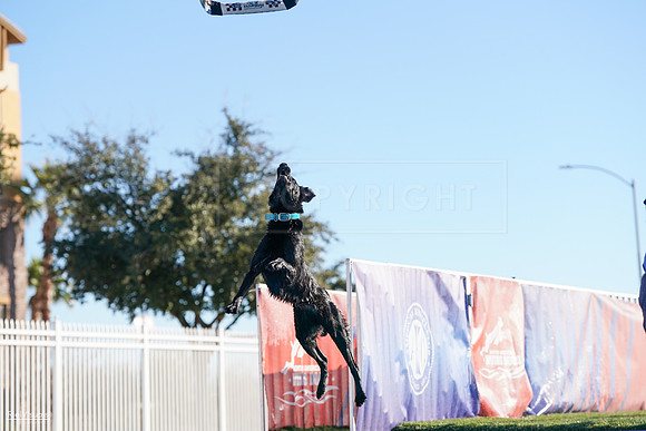 RielVisuals_NADD_Copper_Classic_20240127_092041_SJR04544
