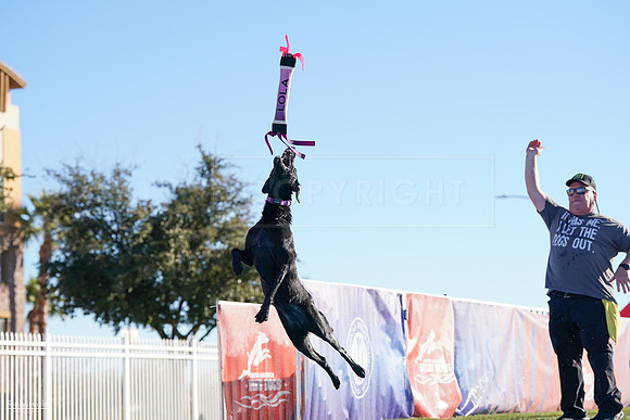 RielVisuals_NADD_Copper_Classic_20240127_092247_SJR04583