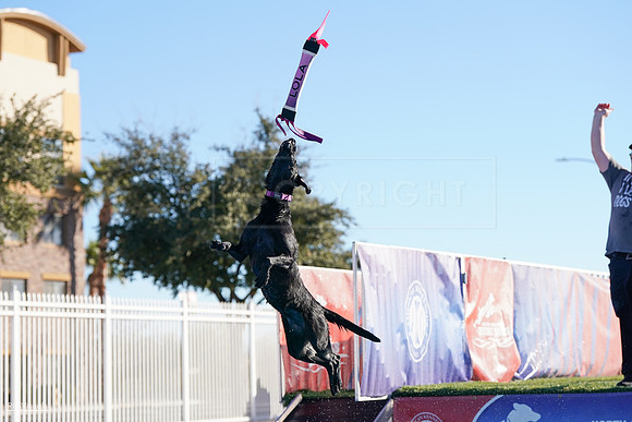 RielVisuals_NADD_Copper_Classic_20240127_092247_SJR04585