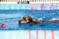 RielVisuals_NADD_Copper_Classic_20240127_081315_SJR03126