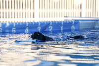 RielVisuals_NADD_Copper_Classic_20240127_081504_SJR03164