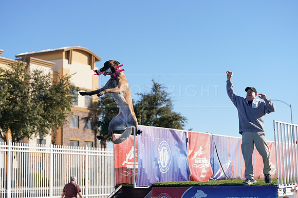 RielVisuals_NADD_Copper_Classic_20240127_094136_SJR04719
