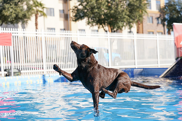 RielVisuals_NADD_Copper_Classic_20240127_095820_SJR05036