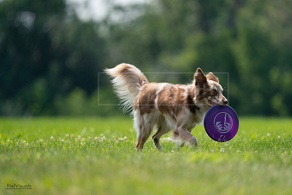 RielVisuals_20240727_131236_SJR07180