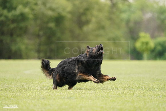 RielVisuals_20240527_132925_SJR09941
