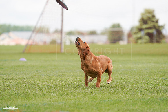 RielVisuals_20240527_141128_SJR01858