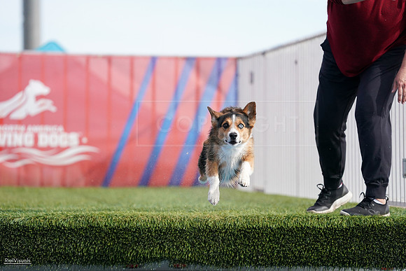 RielVisuals_NADD_Copper_Classic_20240128_140407_SJR02532