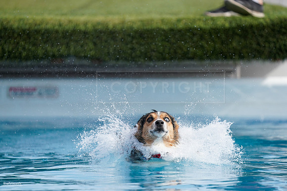 RielVisuals_NADD_Copper_Classic_20240128_140459_SJR02573