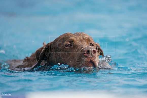 RielVisuals_NADD_Copper_Classic_20240128_140919_SJR02775