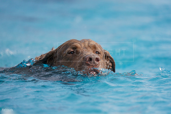 RielVisuals_NADD_Copper_Classic_20240128_140918_SJR02768