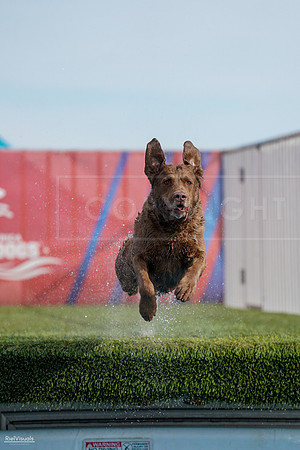 RielVisuals_NADD_Copper_Classic_20240128_141012_SJR02796
