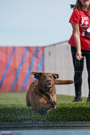 RielVisuals_NADD_Copper_Classic_20240128_141013_SJR02800