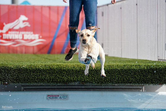RielVisuals_NADD_Copper_Classic_20240128_141252_SJR02892