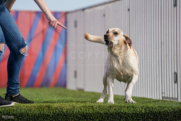 RielVisuals_NADD_Copper_Classic_20240128_141325_SJR02997