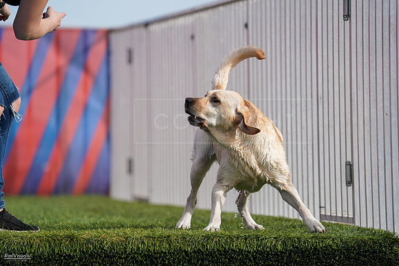 RielVisuals_NADD_Copper_Classic_20240128_141325_SJR02993