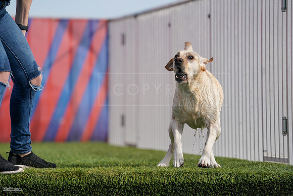 RielVisuals_NADD_Copper_Classic_20240128_141325_SJR02999