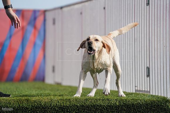 RielVisuals_NADD_Copper_Classic_20240128_141326_SJR03010