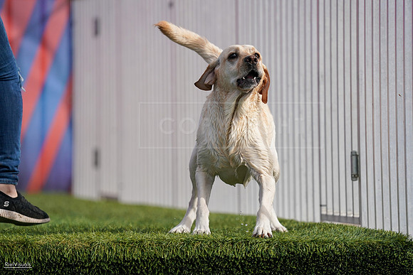 RielVisuals_NADD_Copper_Classic_20240128_141327_SJR03027