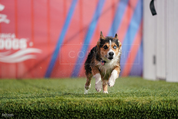 RielVisuals_NADD_Copper_Classic_20240128_141450_SJR03167
