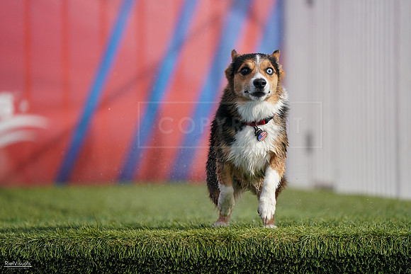 RielVisuals_NADD_Copper_Classic_20240128_141450_SJR03170