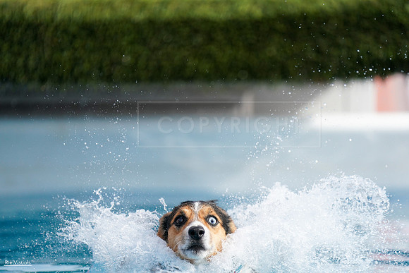 RielVisuals_NADD_Copper_Classic_20240128_141451_SJR03179