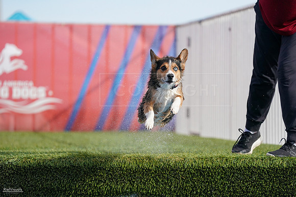 RielVisuals_NADD_Copper_Classic_20240128_141539_SJR03211