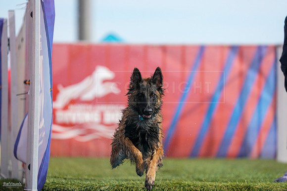 RielVisuals_NADD_Copper_Classic_20240128_141628_SJR03278