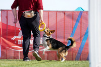 RielVisuals_NADD_Copper_Classic_20240128_130400_SJR00475