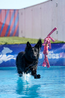 RielVisuals_NADD_Copper_Classic_20240128_120256_SJR08634