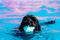 RielVisuals_NADD_Copper_Classic_20240128_110054_SJR06737