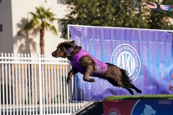 RielVisuals_NADD_Copper_Classic_20240128_110849_SJR06861