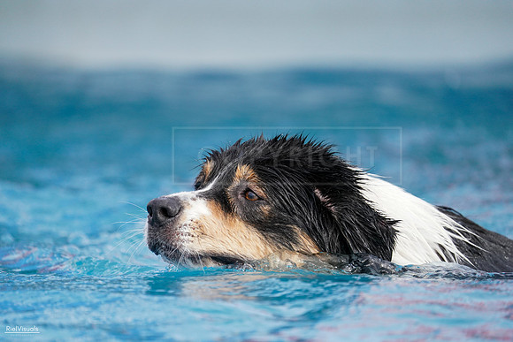 RielVisuals_NADD_Copper_Classic_20240128_143553_SJR03959