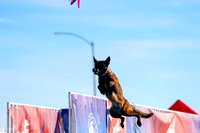 RielVisuals_NADD_Copper_Classic_20240128_100122_SJR05421