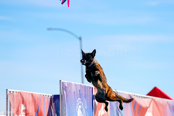 RielVisuals_NADD_Copper_Classic_20240128_100122_SJR05421
