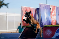 RielVisuals_NADD_Copper_Classic_20240128_100122_SJR05428