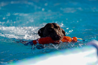 RielVisuals_NADD_Copper_Classic_20240128_090222_SJR04189