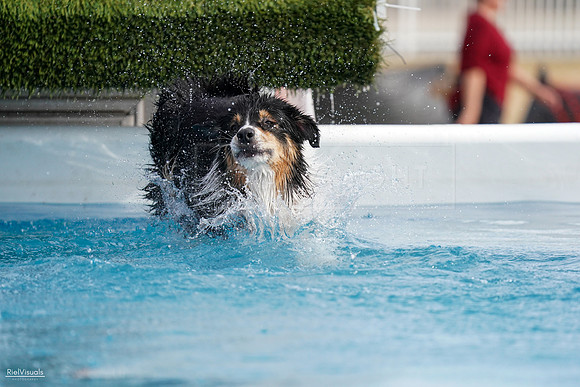 RielVisuals_NADD_Copper_Classic_20240128_143705_SJR04070