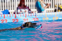 RielVisuals_NADD_Copper_Classic_20240128_100204_SJR05464