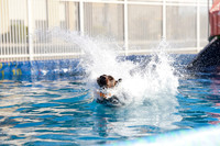 RielVisuals_NADD_Copper_Classic_20240128_090254_SJR04198