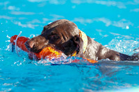 RielVisuals_NADD_Copper_Classic_20240128_090256_SJR04204