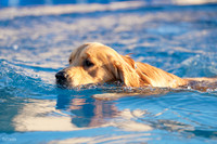 RielVisuals_NADD_Copper_Classic_20240128_080239_SJR02878