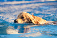 RielVisuals_NADD_Copper_Classic_20240128_080239_SJR02879