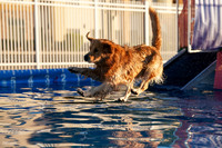 RielVisuals_NADD_Copper_Classic_20240128_080332_SJR02912