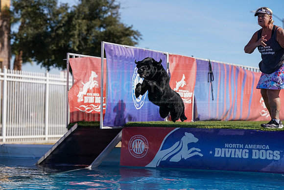 RielVisuals_NADD_Copper_Classic_20240128_111716_SJR07051
