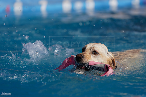RielVisuals_NADD_Copper_Classic_20240128_111927_SJR07121