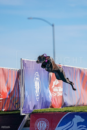 RielVisuals_NADD_Copper_Classic_20240128_100835_SJR05588