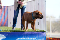 RielVisuals_NADD_Copper_Classic_20240128_125045_SJR09806