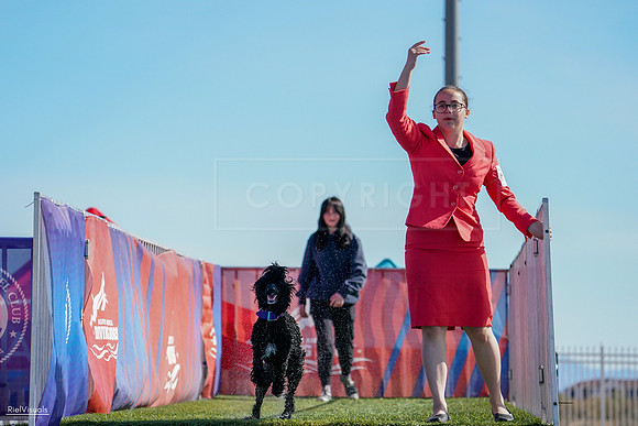 RielVisuals_NADD_Copper_Classic_20240128_112850_SJR07227